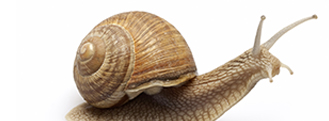 Zufallsbild